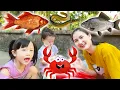 Download Lagu Cam Cam học tên các con cá nước ngọt: con cua, con cá vàng, cá trê, cá rô phi, con ếch