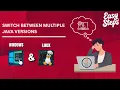 Switch Between Multiple Java Versions on Windows Linux No Uninstall Needed
