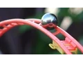 Marble Run in the Garden