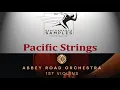 Quick feature comparison ARO First Violins Pro vs Pacific Ens Strings