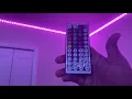 How To Create DIY Colors With Your Daybetter LED Strip Lights Issa Maj