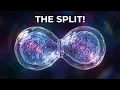 How Your Body Clones Itself The 24-Hour Cell Cycle Explained