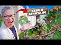 Download Lagu TURN YOUR BACKYARD INTO A ZOO!!