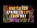 Spring Quotes And Nature Quotes With Spring Flowers To Lift Your Day