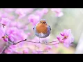 Insecure(feat. Pink Sweat) - Bren Joy/Pink Sweat(lyrics)