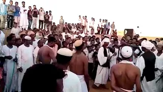ودالعقيد دندنها