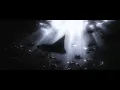 lucidbeatz - dance with me