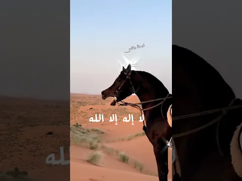  ( وَمَنْ يُعَظِّمْ شَعائِرَ اللهِ )