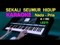 Download Lagu SEKALI SEUMUR HIDUP - Lesti | KARAOKE Nada Pria
