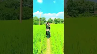 TALAQ Diya Jaiyo Nahi Nice Video Tiktok 