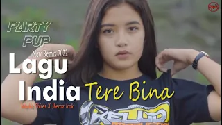 Download PARTY PUP INDIA - Tere Bina - Remix Terbaru 2022 MP3