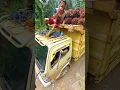 Download Lagu Beginilah kerja kami hari hari | muat sawit dari pagi sampai malam #viralvideo #shorts