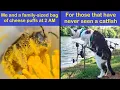 Funny Animal Memes That Are So Pure You Might Forget The World Is On Fire Happy And Fun