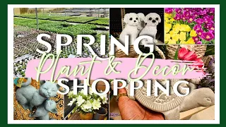 Plant Shopping for Annuals Garden Decor Carolina Gardens Lowe s Athome
