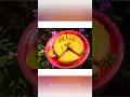 Download Lagu 2021 recap l Goodbye2021 l instagram posts l photography l memories l year-end l moments l creative