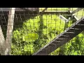 Ultimate 19-Gauge Hardware Cloth Galvanized Mesh Roll for Garden Pest Control