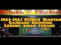 GAMBANG KROMONG LENONG SINAR TERANG|| JALI-JALI BUNGA SIANTAN