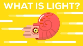 What Is Light 