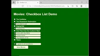 HTML CSS JavaScript Demo Checkboxes -