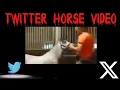 Twitter Horse And Other Gross s