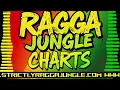 Download Lagu STRICTLY RAGGA JUNGLE CHARTS JULY 2025 MIX BY DJ STP
