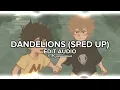 Download Lagu Dandelions (Sped Up) - [Ruth B] Edit Audio
