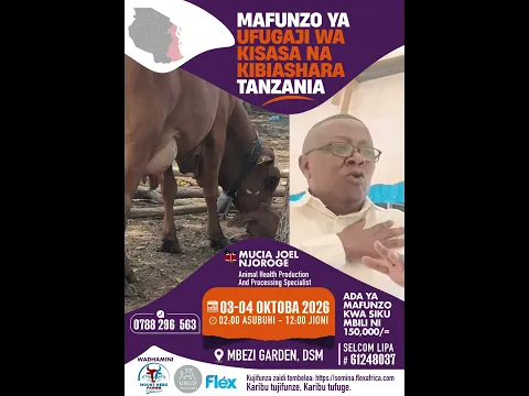 WAFUGAJI WA NG'OMBE FURSA HII HAPA KUTOKA MOUNT NEBO FARM. USIKOSE DARASA HILI