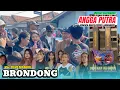 Download Lagu BRONDONG - voc. DEVI MANUAL arak arakan  SINGA DANGDUT ANGGA PUTRA 2025  ! UNJUNGAN BUYUT KEDAMAN