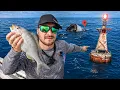 Where How Catch BIG Yellowtail FISH in the Florida Keys CATCH N COOK