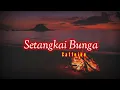 Download Lagu Setangkai Bunga - Caffeine (lirik)