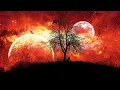 Solar Fields - Feeling