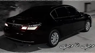 استكنان عراقي   ماردت ابين لك ضعف   لؤلؤ دليل بنص درب   تعديل مميز دندنها