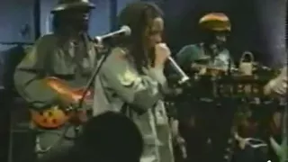 ziggy marley