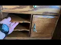 Vintage Roll Top Desk with hidden compartments by Winners Only brand