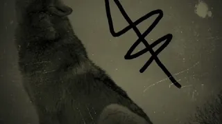 ماجتني الدنيا على الكيف ياذيب 