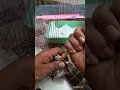 Download Lagu How to Hand feed a Love Birds Chicks with care. #budgies #birdslover #parrot #bird #handfeeding