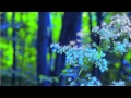 Download Lagu Free Healing Meditation from Deepak Chopra by NPowerYourMind.com