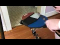 P4 Practice Pad by Drumeo - Designed by Pat Petrillo