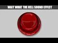 wait what the hell sound effect myinstants