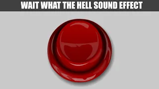Wait What The Hell Sound Effect Myinstants 