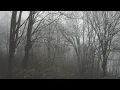 Gracious - Ben Howard