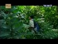 Download Lagu Jejak Jejak Misterius Trans 7  10 Agustus 2015 - Manusia Misterius Penghuni Danau Cirata Full