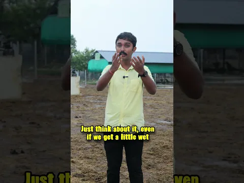 Rain has started and what should you do to help strays? #animals #rain #dogs #viral