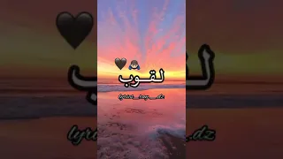 راني نسكر ونطاسي مصمم فيديوهات ستوري واتساب 