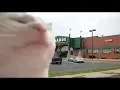 Cat Vibing to the Menard s theme
