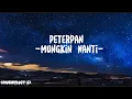 Download Lagu Peterpan Mungkin Nanti New Version (Lyrics)