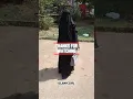 Download Lagu All types of veils for muslimwomen🧕 #shorts #muslimgirl #hijab #ytshorts #hijabstyle
