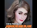 Download Lagu Jangan Bilang Bilang (Remix)