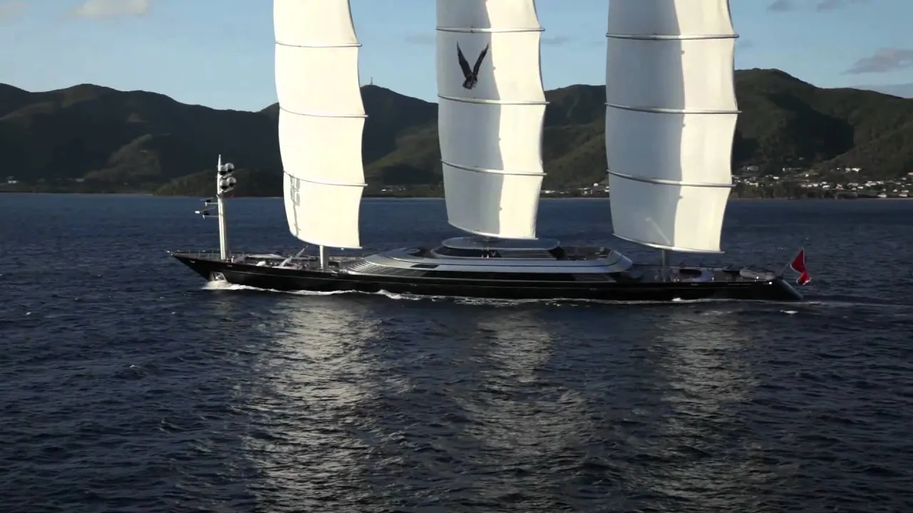 Maltese Falcon 2011