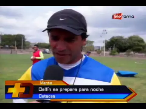 Delfín se prepara par anoche Cetacea